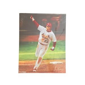 NEW St Louis Cardinals Hall of Fame David Freese Canvas Print Cole Meyer